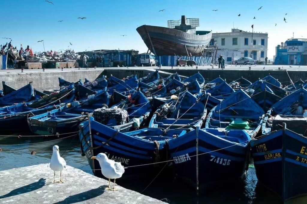 Essaouira fishing port and traditional blue boats, Morocco